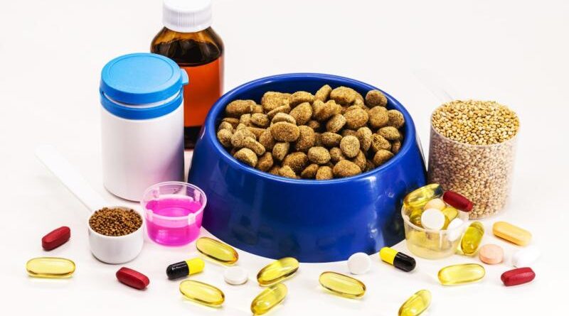 Dog Nutritional Supplement Market || 2024-2031