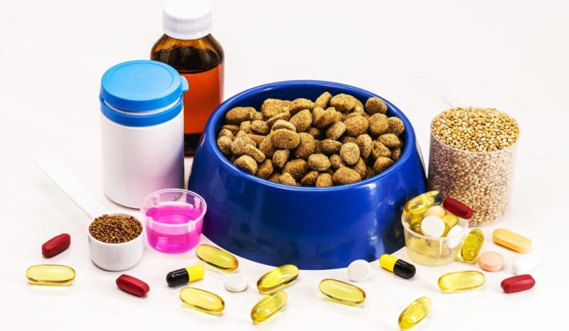 Dog Nutritional Supplement Market || 2024-2031